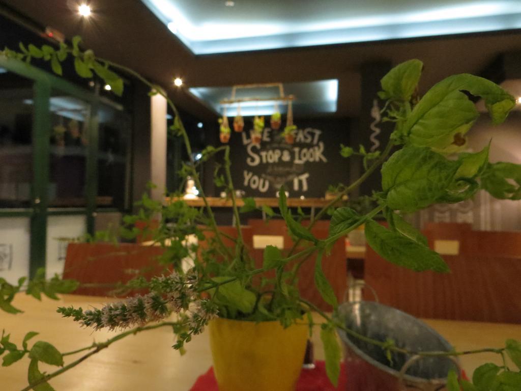 Leonidaion Guesthouse Ancient Olympia Екстер'єр фото The interior of the restaurant